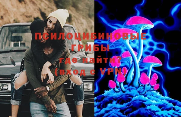 спиды Алексеевка