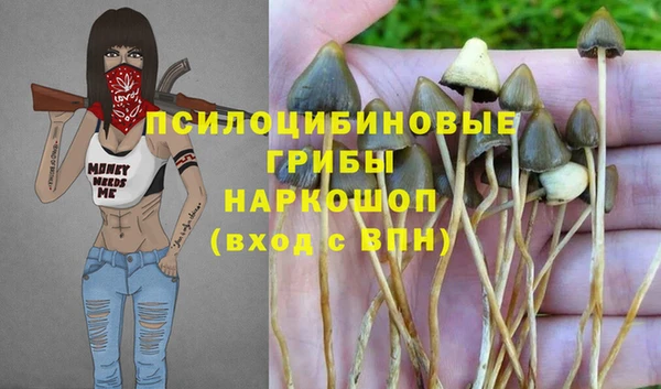 спиды Алексеевка