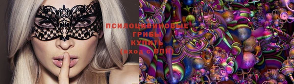 спиды Алексеевка